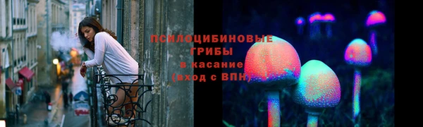 шишки Няндома