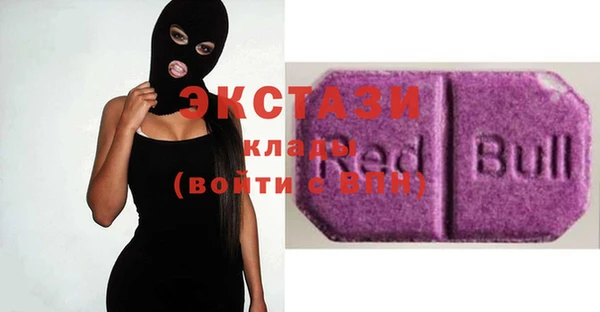 шишки Няндома