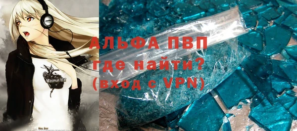 шишки Няндома