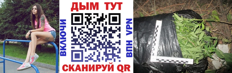 Купить  Сковородино  Конопля OG Kush 